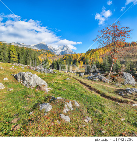Amazing view of mountains and valleys with larch forest and wonderful sky are located in Filzmoos Amazing view of mountains and valleys with larch forest and wonderful sky are located in Filzmoos 117425286