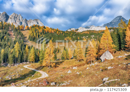 Fabulous view of mountains and valleys with larch forest and wonderful sky are located in Filzmoos Fabulous view of mountains and valleys with larch forest and wonderful sky are located in Filzmoos 117425309