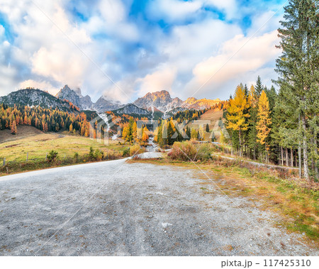 Stunning view of mountains and valleys with larch forest and wonderful sky are located in Filzmoos 117425310