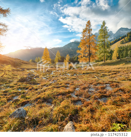 Stunning view of mountains and valleys with larch forest and wonderful sky are located in Filzmoos Stunning view of mountains and valleys with larch forest and wonderful sky are located in Filzmoos 117425312