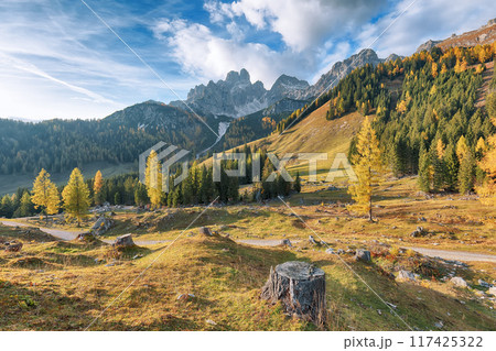 Gorgeous view of mountains and valleys with larch forest and wonderful sky are located in Filzmoos Gorgeous view of mountains and valleys with larch forest and wonderful sky are located in Filzmoos 117425322