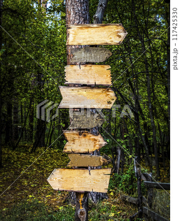 Wooden signposts in the forest Wooden signposts in the forest 117425330