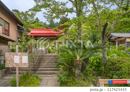 森町にある極楽寺　あじさい寺に咲く紫陽花(静岡県) 117425435