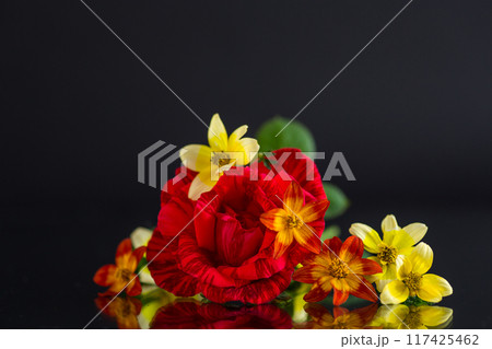small bouquet of small multicolored flowers and a rose, isolated on black background 117425462