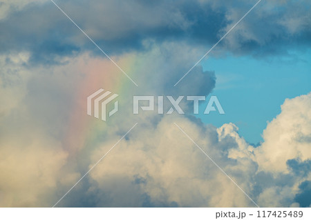 Heavenly Hues 117425489