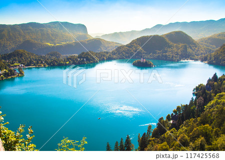 view of Bled lake 117425568