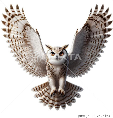 Owl×flapping wings様 リクエスト 5点 まとめ商品 ARTIFICIAL BIRDS Owl White / Large – PUEBCO ONLINE STORE