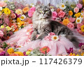 Front portrait of young cat princess 117426379