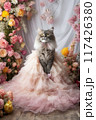 Front portrait of young cat princess 117426380