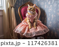 Modest cat queen 117426381