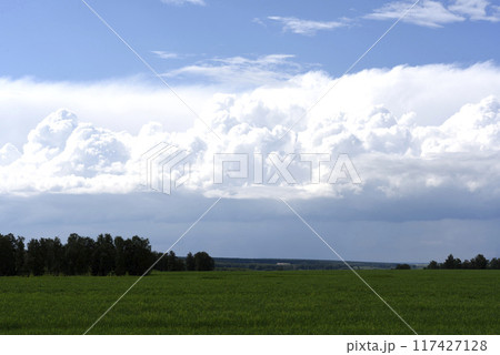 Thunderclouds on the background of a green field. A stormy landscape in the countryside. Thunderclouds on the background of a green field. A stormy landscape in the countryside. 117427128
