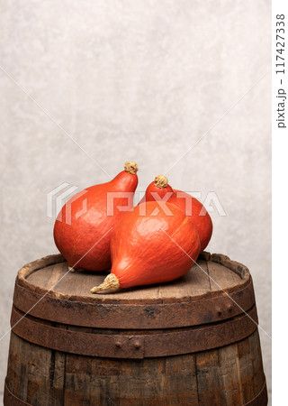 Still Life with Uchiki Kuri Squash, Also Known as Hokkaido or Orange Pumpkins 117427338