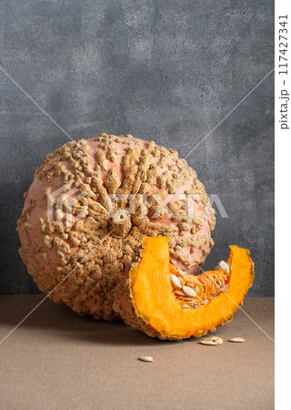 Galeux d Eysines Pumpkin on Table Galeux d Eysines Pumpkin on Table 117427341