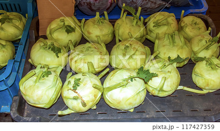 Freshly picked kohlrabi for sale at an outdoor farmers market. Turnip cabbage or Brassica oleracea Freshly picked kohlrabi for sale at an outdoor farmers market. Turnip cabbage or Brassica oleracea 117427359