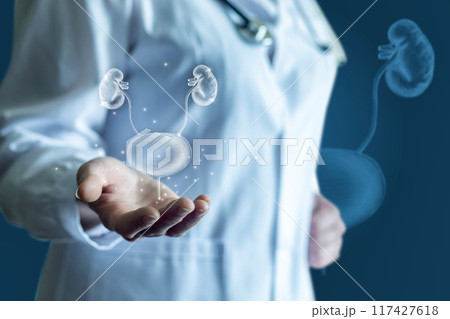 Doctor shows a sketch of the bladder and kidneys . Doctor shows a sketch of the bladder and kidneys . 117427618