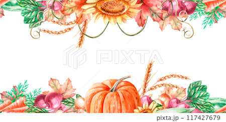Seamless frame with pumpkin, wheat, sunflower, leaves, squash, beetroot, carrot in watercolor illustration. Harvest theme composition for exhibitions and fairs. Illustration isolated from background 117427679