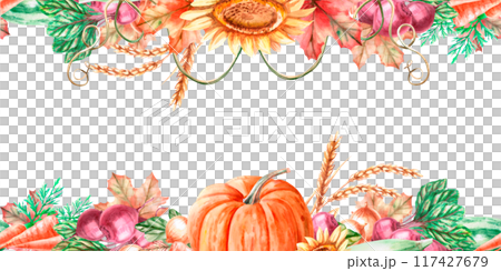 Seamless frame with pumpkin, wheat, sunflower, leaves, squash, beetroot, carrot in watercolor illustration. Harvest theme composition for exhibitions and fairs. Illustration isolated from background Seamless frame with pumpkin, wheat, sunflower, leaves, squash, beetroot, carrot in watercolor illustration. Harvest theme composition for exhibitions and fairs. Illustration isolated from background 117427679