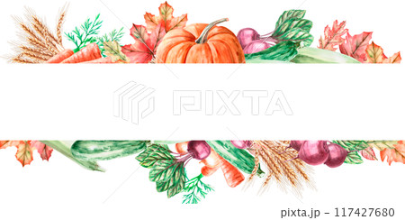 Frame with pumpkin, wheat, sunflower, squash, beetroot, carrot in watercolor illustration. Composition on the theme of harvest for exhibitions and fairs. Illustration isolated from the background. Frame with pumpkin, wheat, sunflower, squash, beetroot, carrot in watercolor illustration. Composition on the theme of harvest for exhibitions and fairs. Illustration isolated from the background. 117427680