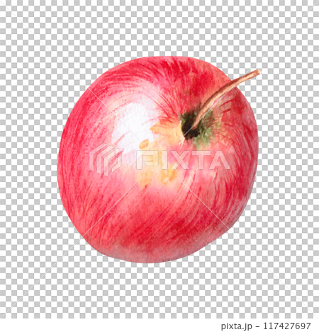 Red apple side view watercolor isolated. Illustration for design of farm products, and organic food in realistic style. Ripe fruit on the theme of autumn harvest 117427697