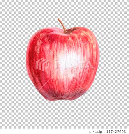 Red apple in watercolor isolated illustration. Whole fruit for farm and organic food design in realistic style. Autumn tree harvest Honey Crunch, 117427698