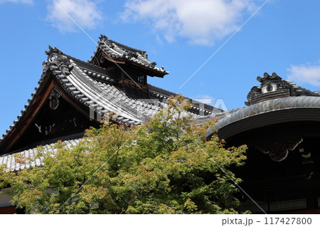 顕本法花華宗 総本山 妙満寺 / 京都市左京区岩倉幡枝町 顕本法花華宗 総本山 妙満寺 / 京都市左京区岩倉幡枝町 117427800