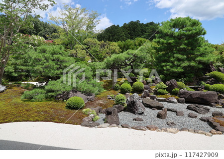 顕本法花華宗　総本山　妙満寺（「雪の庭」） ／ 京都市左京区岩倉幡枝町 117427909