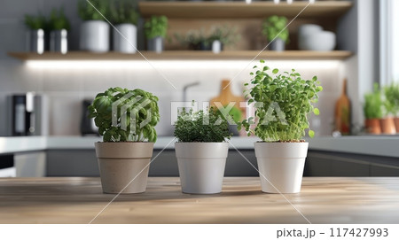 Fresh herbs in three modern pots on wooden table 117427993