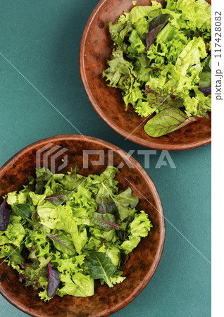 A bowl of fresh lettuce green salad 117428082