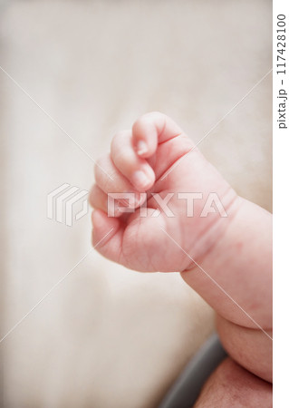 新生児 117428100