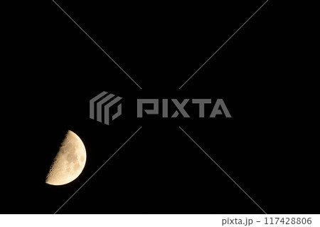 水無月、月齢7.4上弦の月 117428806