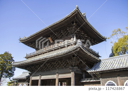 大樹寺 大樹寺三門 117428867