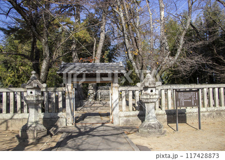 大樹寺　松平八代墓 117428873