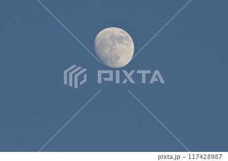 水無月、夏の夕空はまだ青く月齢12.6の月浮かぶ 117428987