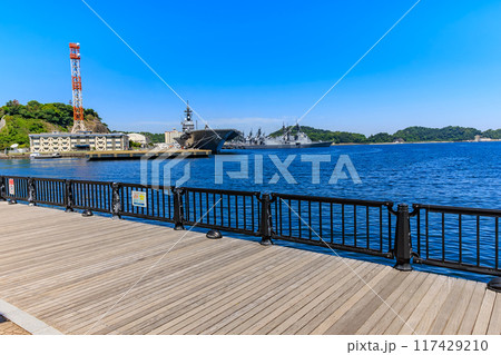 神奈川県　横須賀市　ヴェルニー公園から見た 海上自衛隊 横須賀基地 117429210