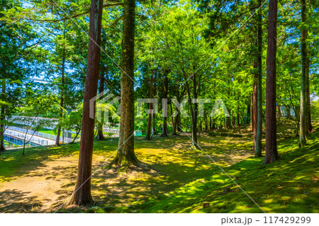 多田神社 兵庫県 川西市 117429299