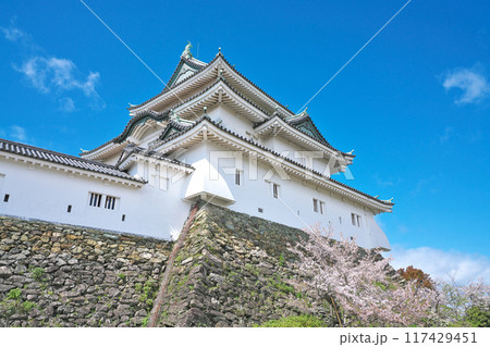 【和歌山城】 和歌山県和歌山市 【和歌山城】 和歌山県和歌山市 117429451