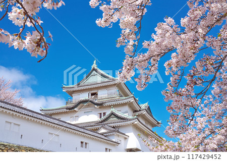 【和歌山城】 和歌山県和歌山市 117429452