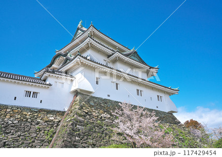 【和歌山城】 和歌山県和歌山市 【和歌山城】 和歌山県和歌山市 117429454