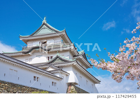 【和歌山城】 和歌山県和歌山市 117429455