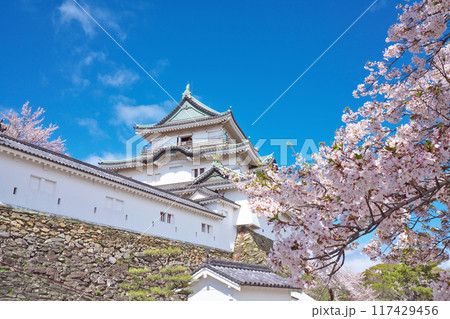 【和歌山城】 和歌山県和歌山市 【和歌山城】 和歌山県和歌山市 117429456