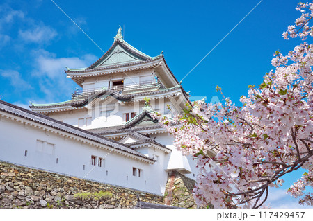 【和歌山城】 和歌山県和歌山市 117429457