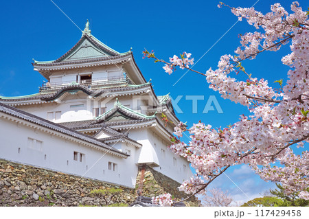【和歌山城】 和歌山県和歌山市 117429458