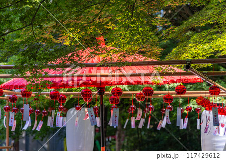 国魂神社の風鈴 117429612