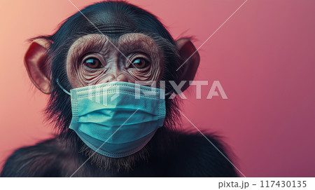 マスクをする猿 117430135