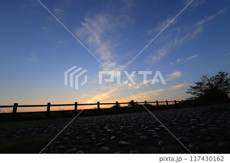 朝日に照らされた公園の広場 117430162