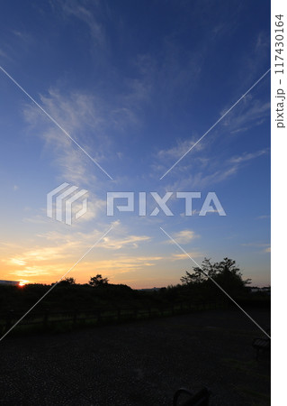 朝日に照らされた公園の広場 朝日に照らされた公園の広場 117430164