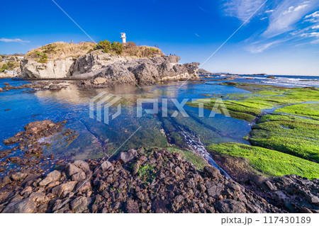 【静岡県】伊豆半島ジオパーク・恵比須島　磯のアオサが美しい 117430189