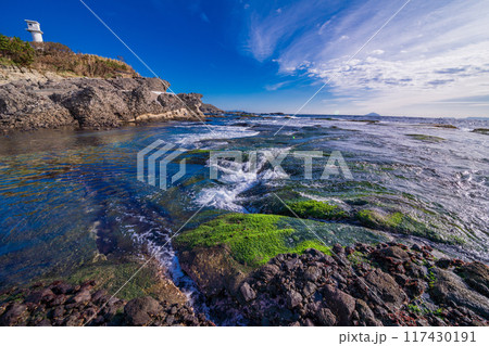 【静岡県】伊豆半島ジオパーク・恵比須島　磯のアオサが美しい 117430191