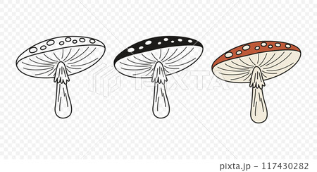 Flat Vector Hand Drawn Cartoon Fly Agaric Mushrooms Outline Illustration. Amanita Muscaria, Fly Agaric Illustration, Mushrooms. Magic Mushroom Icons, Design Template 117430282