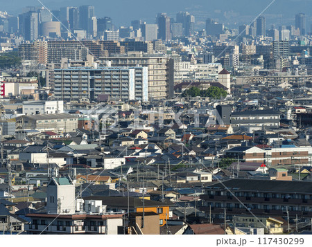 住宅が密集した都市の風景 住宅が密集した都市の風景 117430299